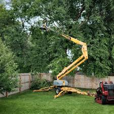 Tree and Shrub Care in Gibraltar, MI