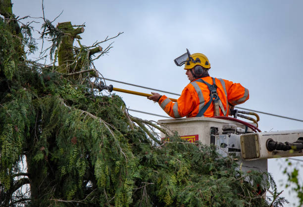 Best Commercial Tree Services  in Gibraltar, MI